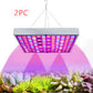 LED Plant Light For Growing Seedlings In Greenhouses