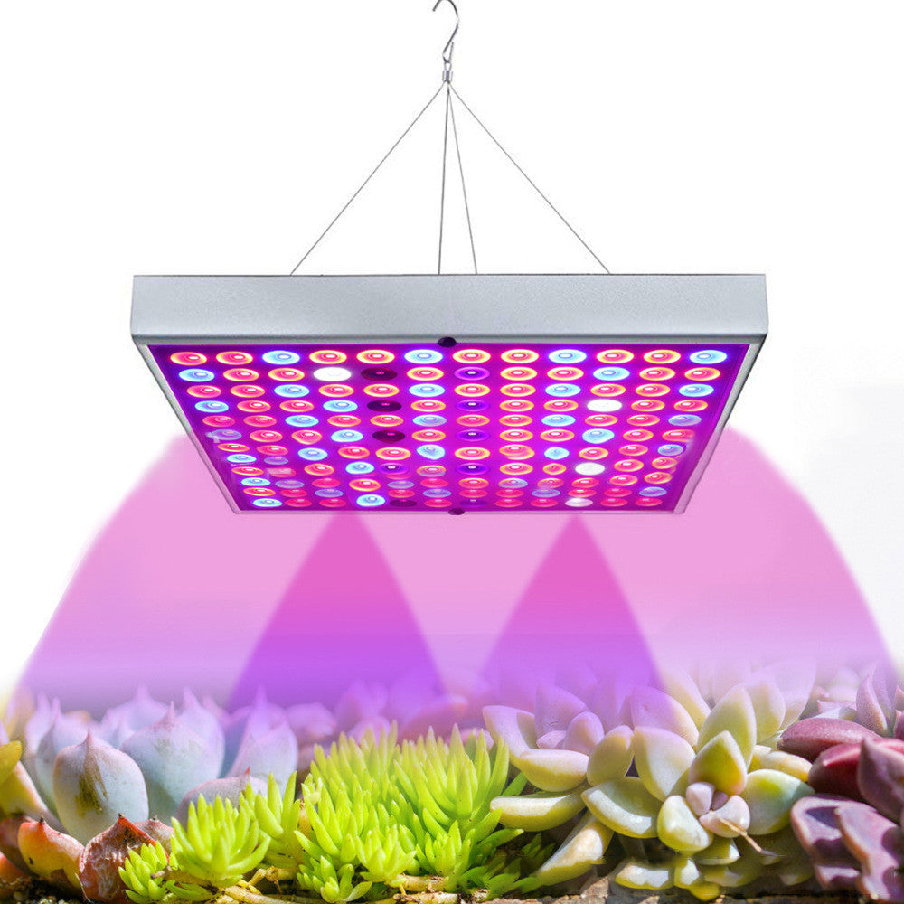 LED Plant Light For Growing Seedlings In Greenhouses