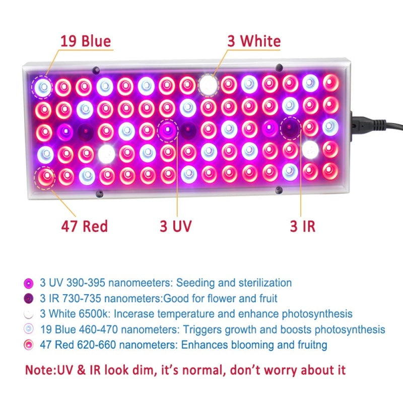 LED Plant Light For Growing Seedlings In Greenhouses