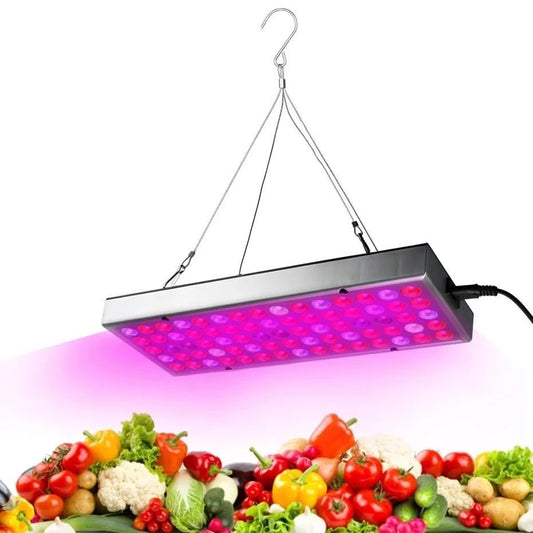 LED Plant Light For Growing Seedlings In Greenhouses