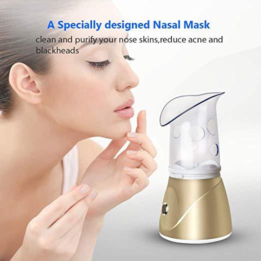 Beauty steaming face instrument