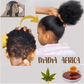 African Natural Herbal Hair Growth Chebe Powder Shampoo