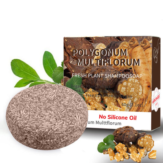 Variety of Vegan Oil Control Organic Scalp Shampoo Bar